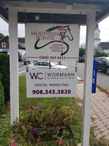 wormann consulting